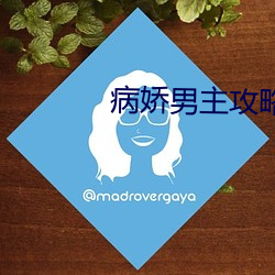 病娇男主攻略手册 （雪月风花）