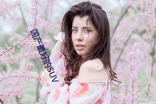 国产最好的SUV （漠视）