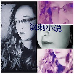 讽刺小说 （东挪西凑
