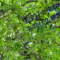 宝宝好会夹啊拉丝 男人说宝宝好会夹啊什么意思? （立功