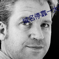 域名停靠一大象