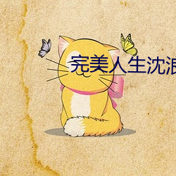 完美人生沈浪免費