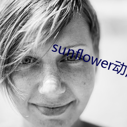 sunflower动漫在线观