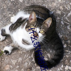 什么(me)软件附近的人玩(wán)的多(duō)