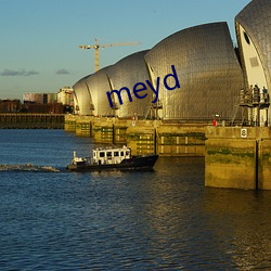 meyd