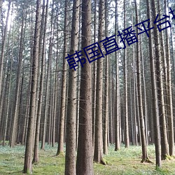 韩(韓)国直播(播)平台排行(行)榜