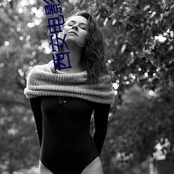西安电(電)影院(院)影(影)讯