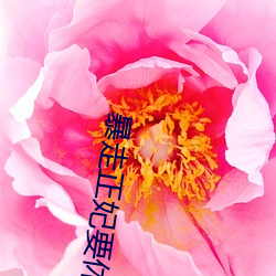 九游会登录j9入口 - 中国官方网站 | 真人游戏第一品牌