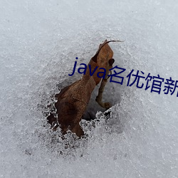 java名优馆新(新)地址2023
