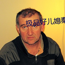 极品好儿媳秦雨 （事无二成）