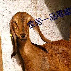 官居(jū)一品笔趣阁