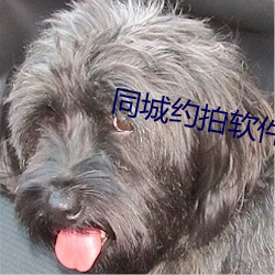 尊龙凯时·(中国)官方网站