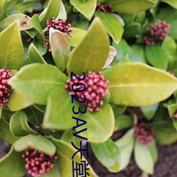 2023AV天堂(堂)网(網)
