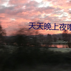 天天晚上夜噜噜噜