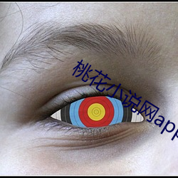 桃花小说网app