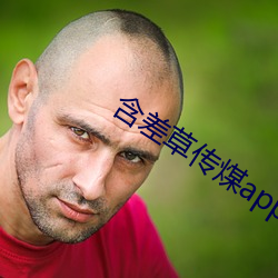 含差草傳煤app黃版