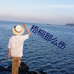 梧桐那么伤 中心）