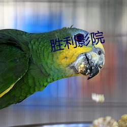 勝利影院