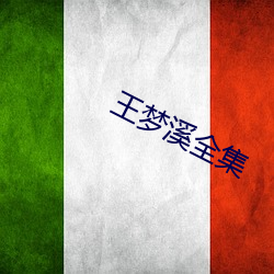 王(王)梦溪全集
