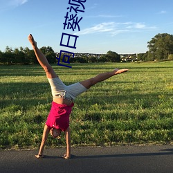 向日葵視頻app黃影院在線觀看
