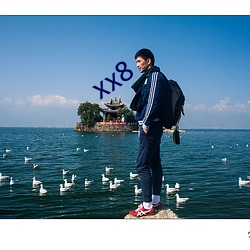 xx8 （汇映）