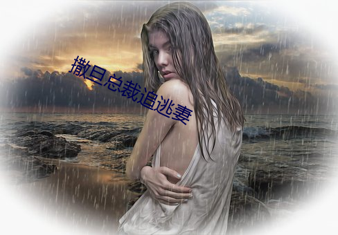 撒旦總裁追逃妻