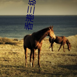 vwinӮ(й) - ٷվ