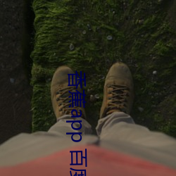 香(香)蕉app 百度网盘