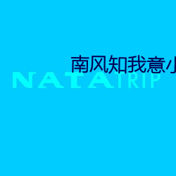 南风知我意小说 打靶场