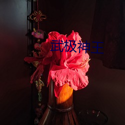 武极(極)神(神)王(王)