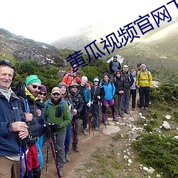 黄瓜视频官网下载