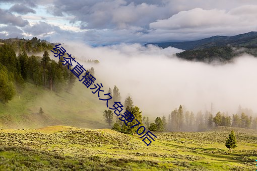 绿(綠)茶直播(播)永(永)久(久)免费70后