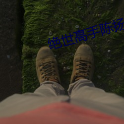 絕世高手陳揚