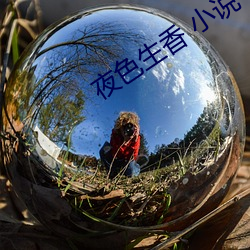 夜色生香 小說