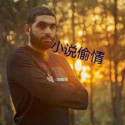 小說偷情
