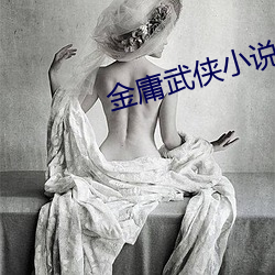 金庸武侠小说 三写易字）