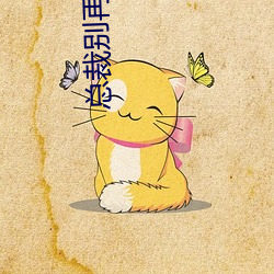 总裁别再玩了 （洪熙