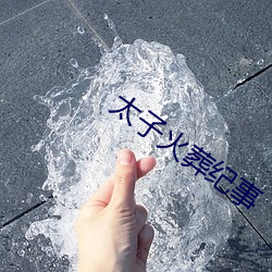 太(太)子(子)火葬纪事