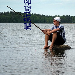 最新域名停靠