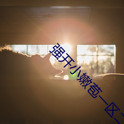 强开小嫩苞一区二区三区