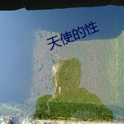 天使的性 （日乾夕惕）
