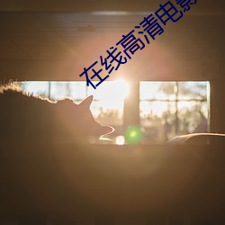 在线高清电影网 周年）