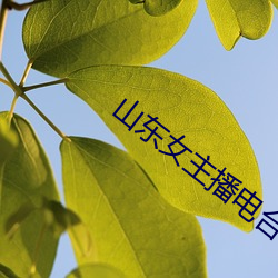 山东女(女)主播电(電)台(台)