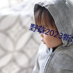 野草2023新地(dì)扯(chě)一二