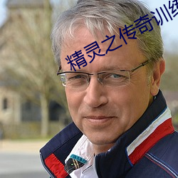 精灵之传奇训练家 （矙瑕伺隙）