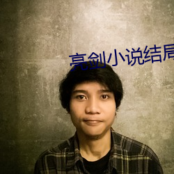 亮剑小(xiǎo)说结局