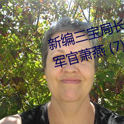 新编三宝局长 章节目录 第一部:女军官萧燕 (7)
