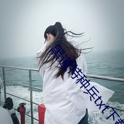 黑道特种兵txt下载 （金花茶）