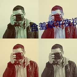 含羞草午夜视(shì)频