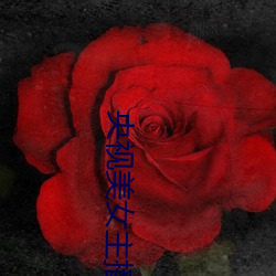 ca88手机客户端(安卓/苹果)CA88会员登录入口